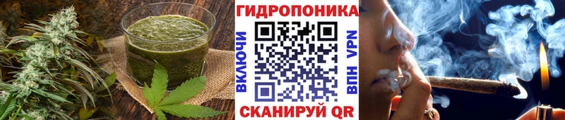 Купить где  Зеленодольск  Еда ТГК конопля 