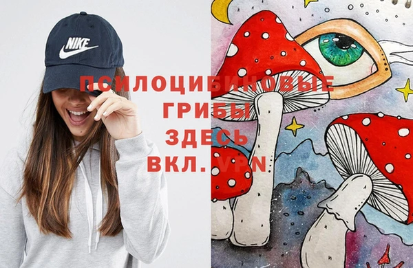амф Протвино