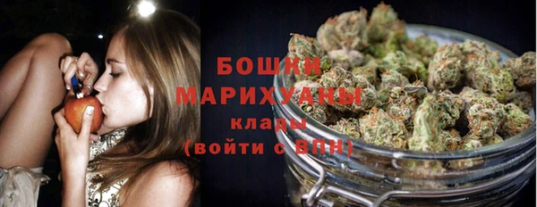 ГАЛЛЮЦИНОГЕННЫЕ ГРИБЫ Покров